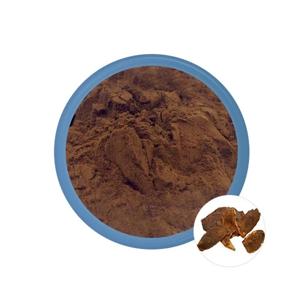 Rheum-palmatum-extract