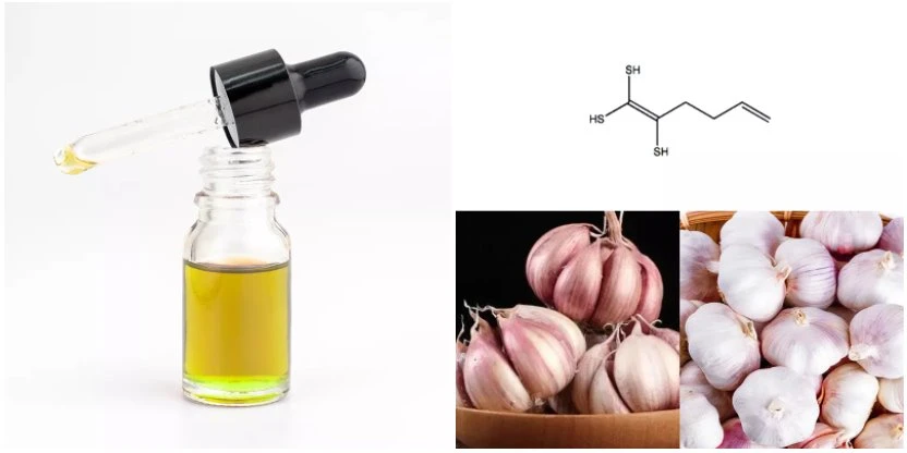 Garlic oil extract price