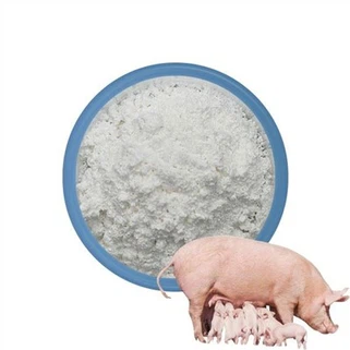 Amoxicillin pulver