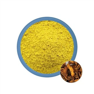 Berberinhydrokloridpulver
