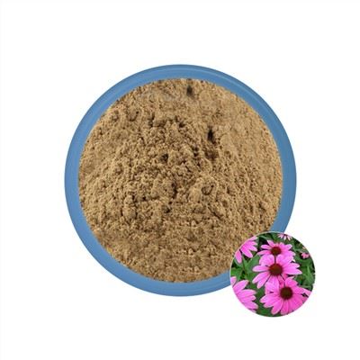 Echinacea extrakt