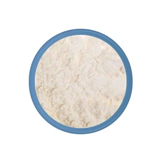 Probiotisk pulver