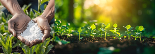 product-530-186 product-530-186