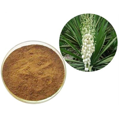 Yucca extrakt pulver